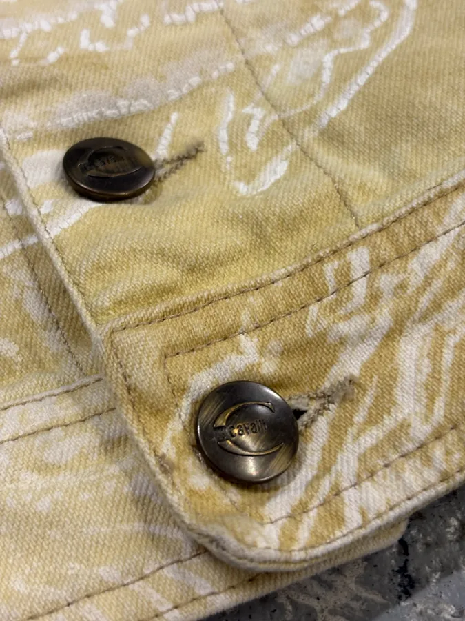 2000s Cavalli Ancient Artistry Reimagined Jacket - Image 10
