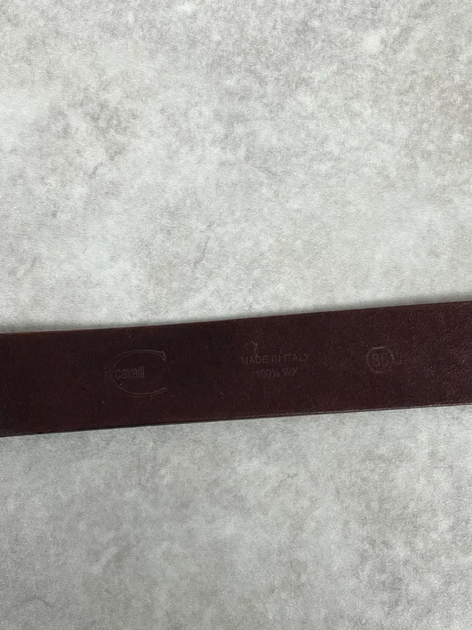 2000s Cavalli Elevation Gems Buckle Brown Leather Belt - Image 6