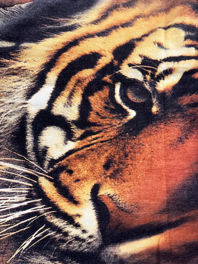FW2000 Roberto Cavalli Tiger Orange Savage Top - Image 4