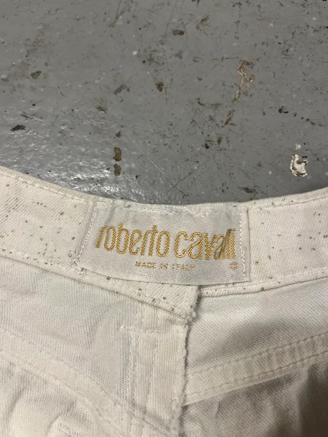 FW2001 Roberto Cavalli Winter Blue Storm Pants - Image 9