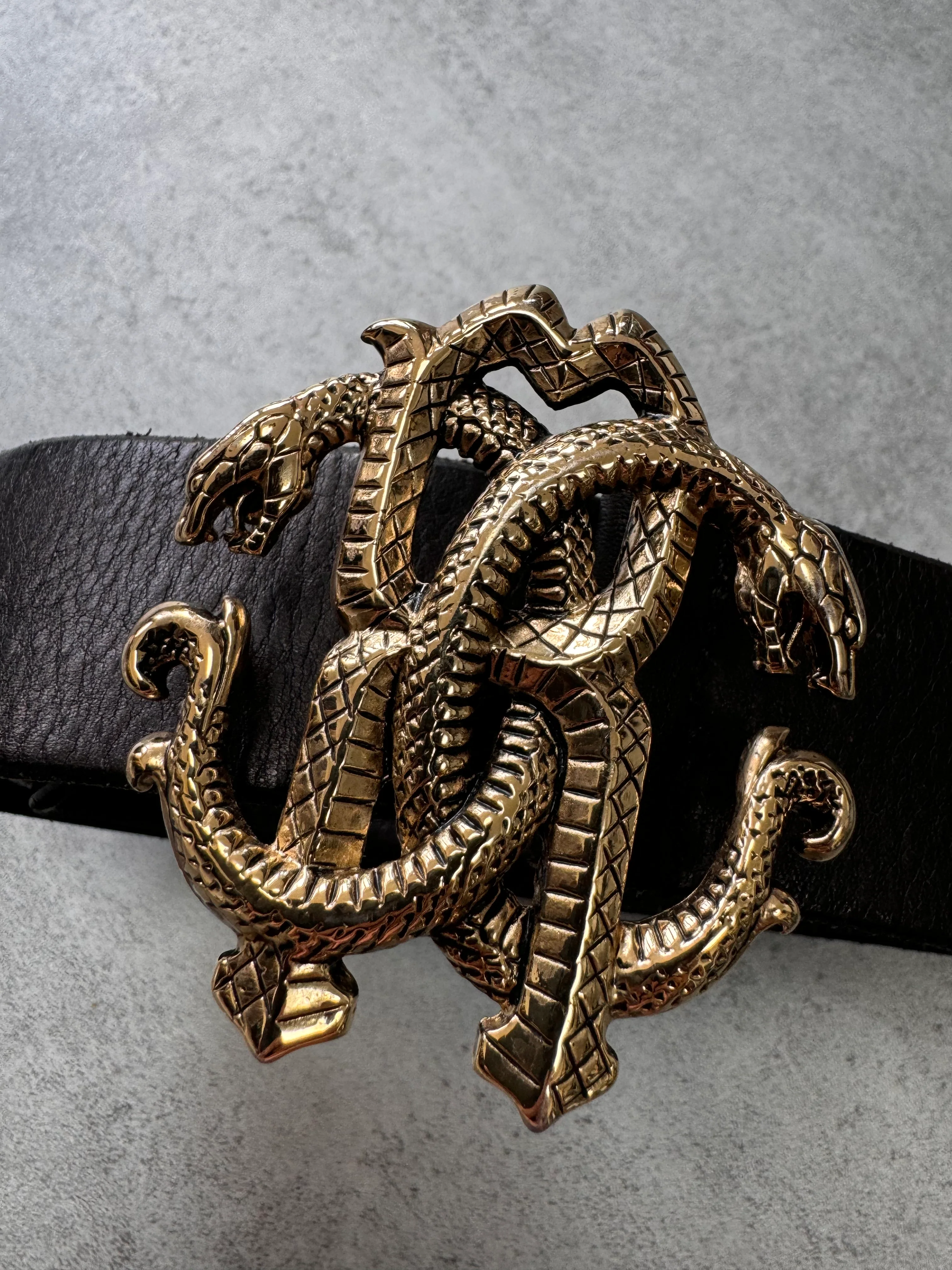 Roberto Cavalli Golden Snake Buckle Brown Leather Belt (OS) - Image 2
