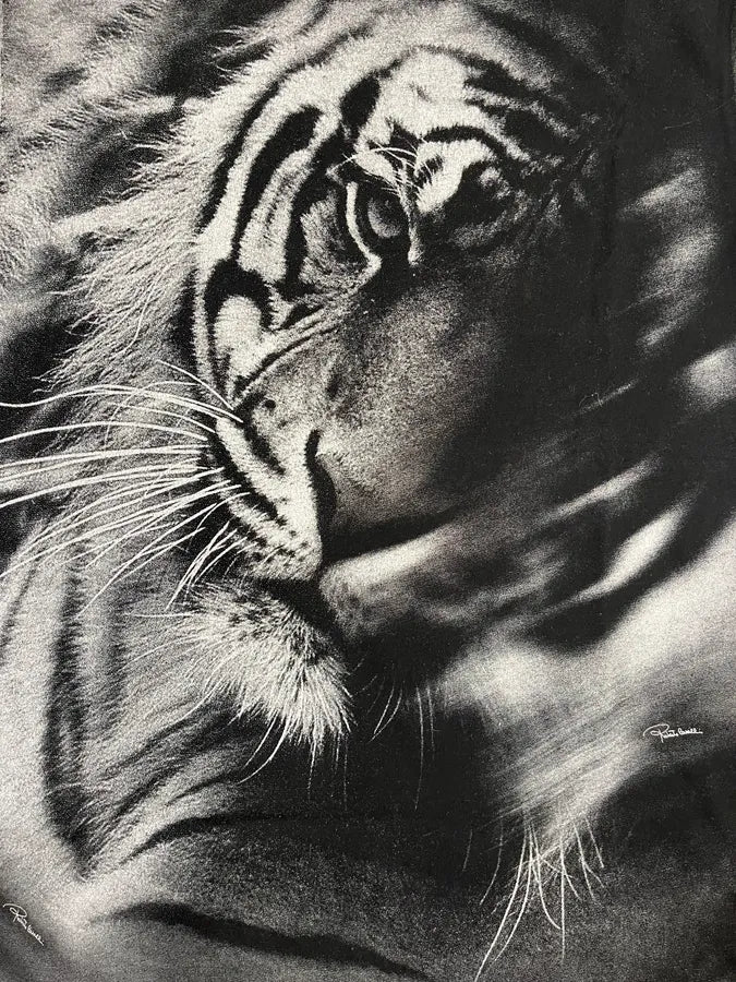 Roberto Cavalli Grey Dark Obscure Tiger Print Tee-Shirt - Image 6