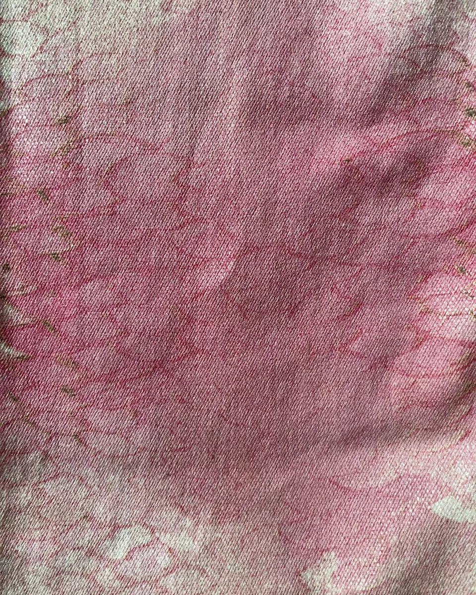 SS2001 Cavalli Pink Hybrid Snakeskin Bees Pants - Image 7