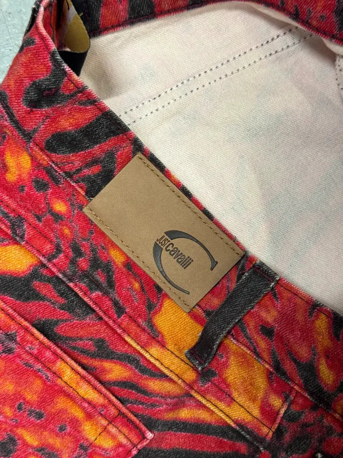 SS2002 Cavalli Red Evil Hallucination Pants - Image 11