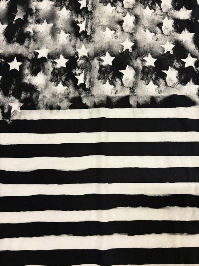 SS2018 Balmain Black & White Contemporary Flag Tee-Shirt - Image 7